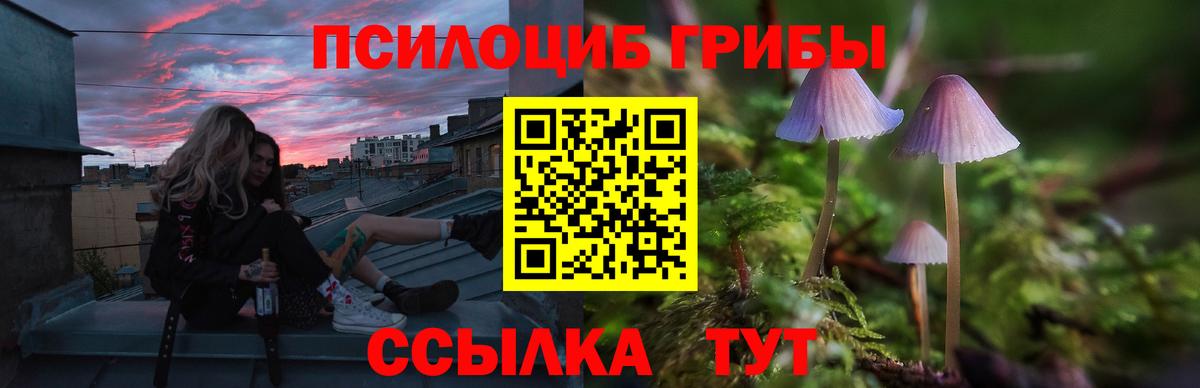 Галлюциногенные грибы Magic Shrooms Ртищево